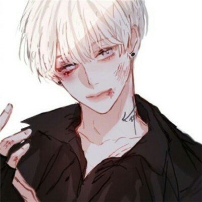 湖南仅剩4只导盲犬